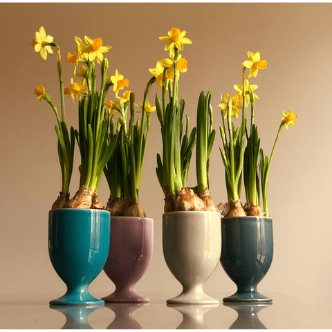Bicchiere 597 | Decoro 053
