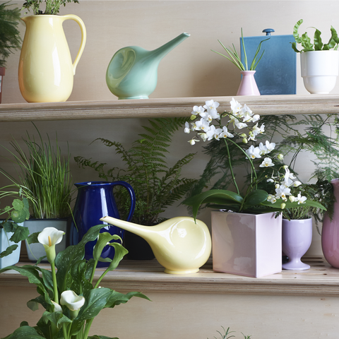 Barattolo 870 | Decoro 055