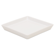 Piastra 493 | Decoro 000