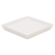 Piastra 493 | Decoro 000