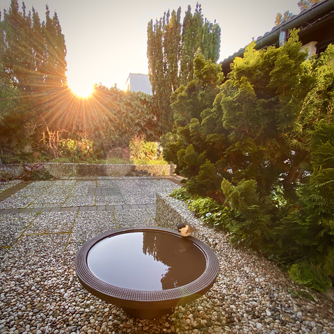 Piccolo bagno per uccelli | Decoro 999