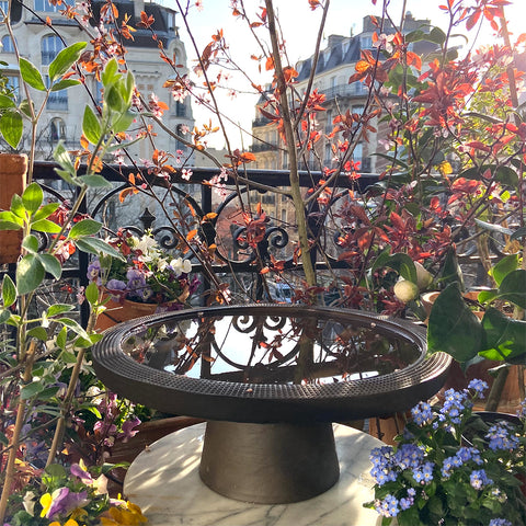 Piccolo bagno per uccelli | Decoro 999