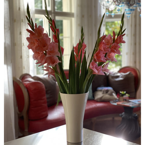Vaso 725C | Decoro 050-7