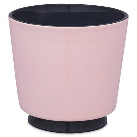 Coprivaso 770A | Decoro 055-1