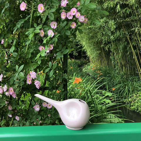 Annaffiatoio 766 | Decoro 000