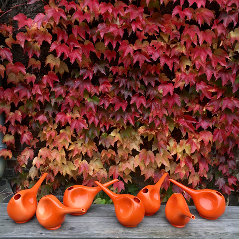 Annaffiatoio 766 | Decoro 053