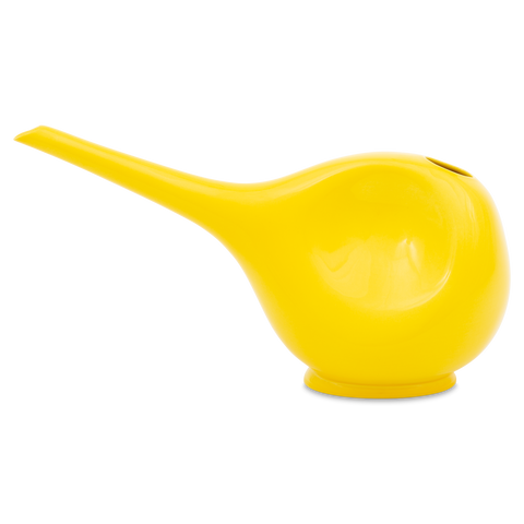 Annaffiatoio 766 | Decoro 003