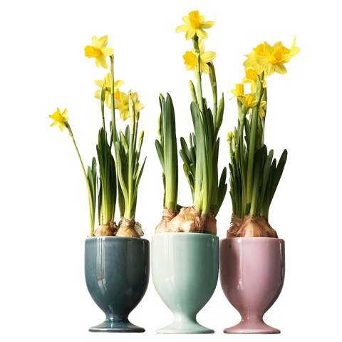 Barattolo Set 3-tlg. 597 | Decoro 999